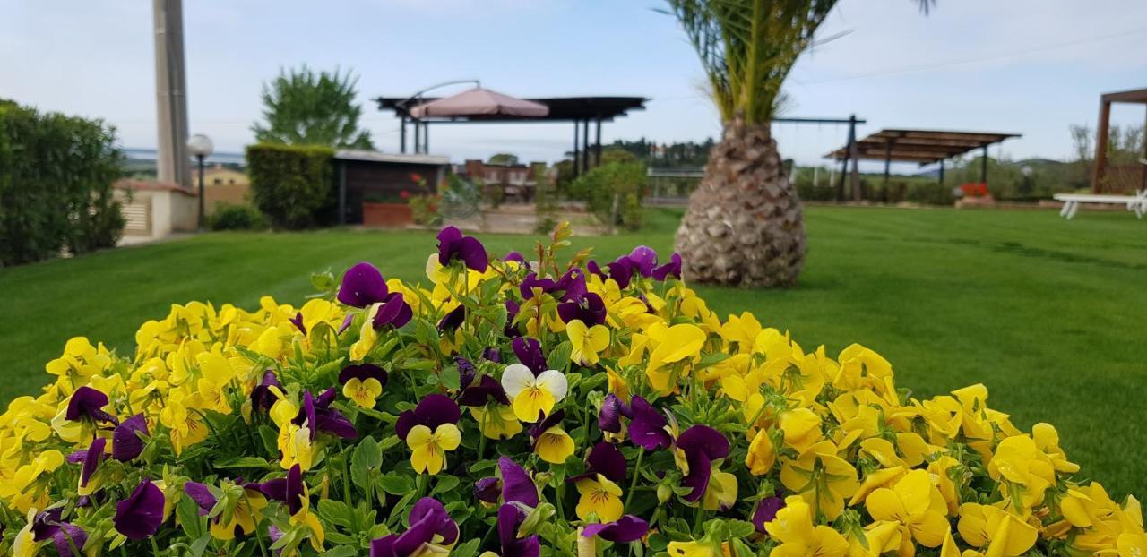 Agriturismo Diaccia Botrona Castiglione della Pescaia Eksteriør bilde